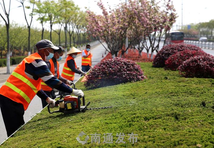 龙柏石楠绿化工程 龙柏石楠绿化工程